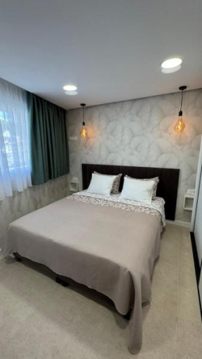 Las Americas Ponderosa Studio 5